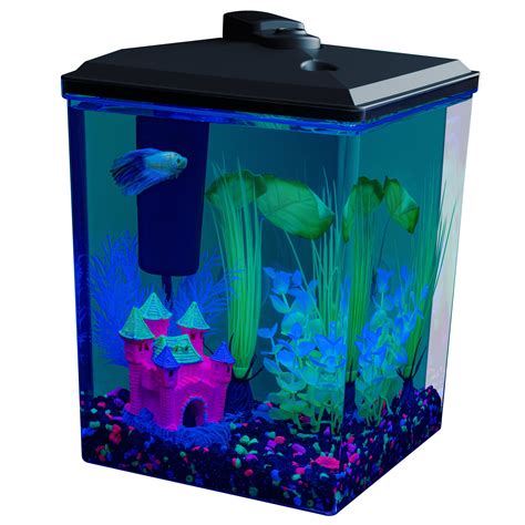 GloFish® Tanks, Lights & Kits & Fish .